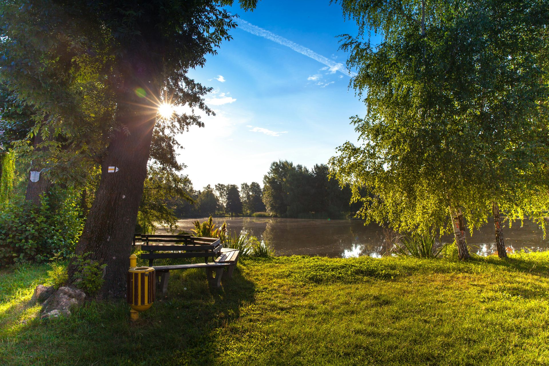 Peaceful morning scene with sunlight through trees by a lake in Wittichenau.